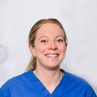 Lisa Johnston Profile